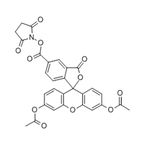 5(6)-羧基二乙酸荧光素琥珀酰亚胺酯,5(6)-Carboxyfluorescein Diacetate N-Succinimidyl Ester