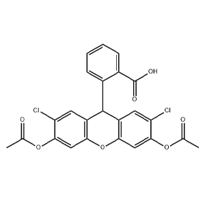 2’，7’-二氯荧光素二乙酸酯,2′,7′-Dichlorofluorescin Diacetate