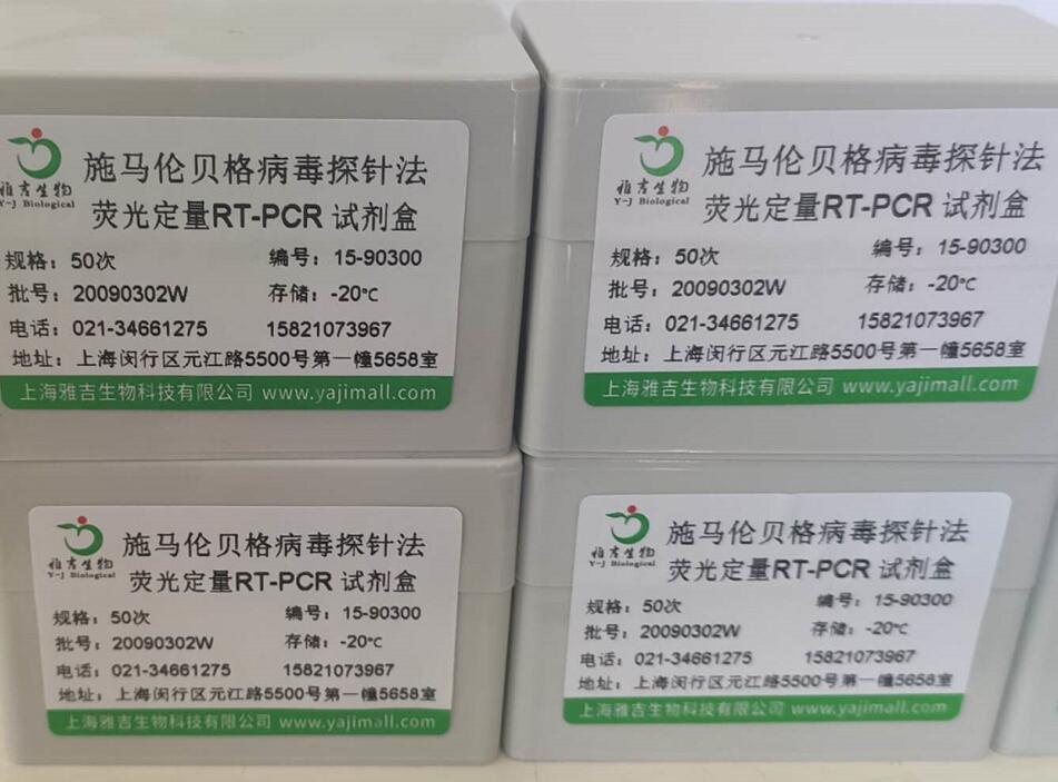 菜豆荚斑驳病毒RT-PCR试剂盒1,Bean Pod Mottle Virus(BPMV)