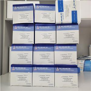 QuickTiter 小鼠白血病病毒（MuLV）核心抗原ELISA检测试剂盒