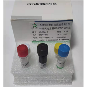 禽白血病病毒I亚群染料法荧光定量RT-PCR试剂盒