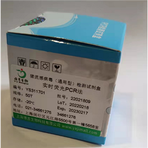 中肠腺坏死杆状病毒染料法荧光定量PCR试剂盒