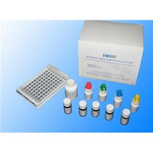 人伤寒抗体(typhoidAb)Elisa试剂盒