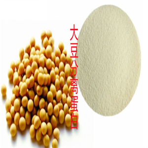 大豆分離蛋白,SOY PROTEIN ISOLATE