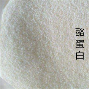 酪蛋白,Casein