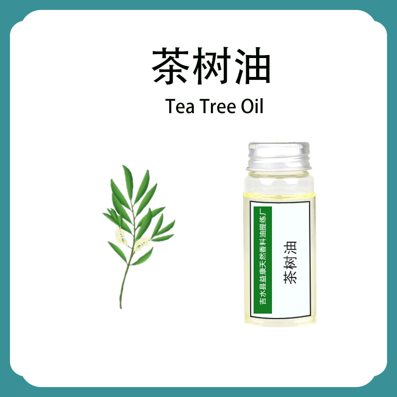 茶树油；茶树精油；互叶白千层油,Tea Tree Oil