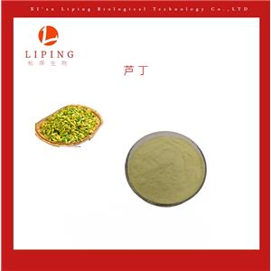 槐米提取物芦丁,Sophora japonica Extract Rutin