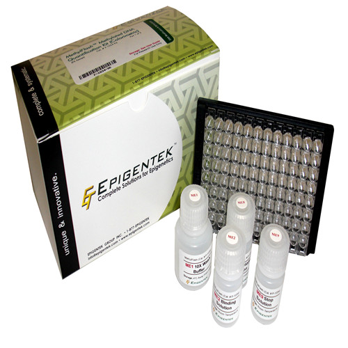 Epigenase m6A脱甲基酶活性/抑制分析试剂盒（比色）,Epigenase m6A Demethylase Activity/Inhibition Assay Kit (Colorimetric)