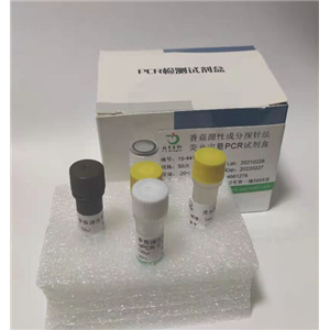 皮炎芽生菌染料法荧光定量PCR试剂盒