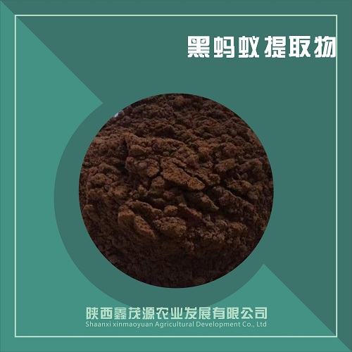 黑蚂蚁提取物,Black ant extract