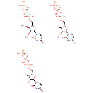 三磷酸尿苷三鈉,Uridine-5'-triphosphoric acid trisodium salt