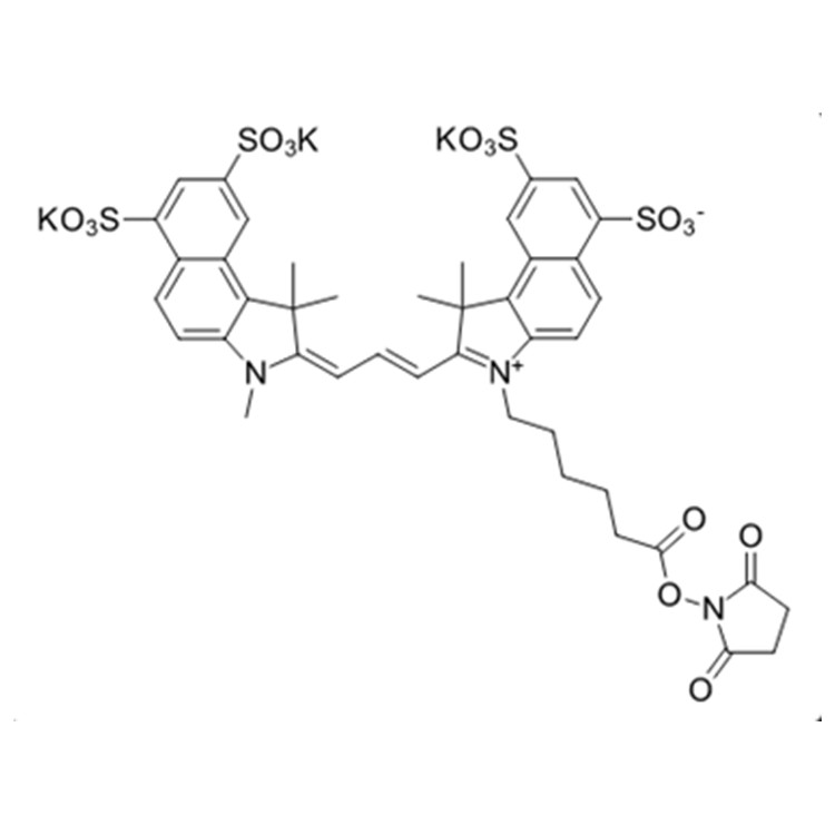 磺酸基Cy3.5活性酯,sulfo-Cyanine3.5 NHS ester
