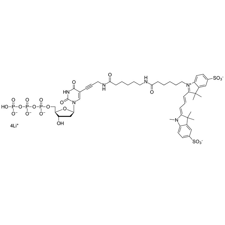 磺酸基Cy3 三磷酸盐,Sulfo-Cyanine3 dUTP