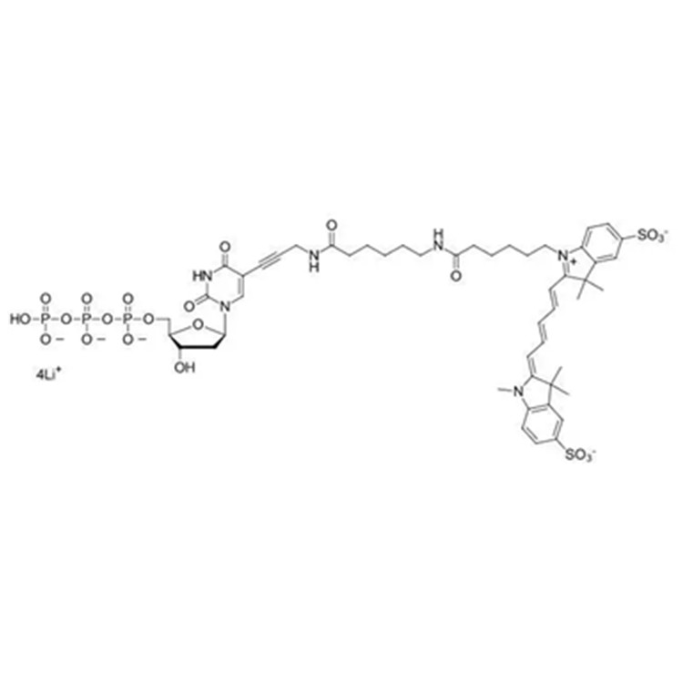 磺酸基菁5脱氧尿苷三磷酸,Sulfo-Cyanine5 dUTP