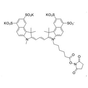 磺酸基Cy3.5活性酯