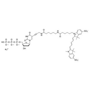 磺酸基菁5脱氧尿苷三磷酸,Sulfo-Cyanine5 dUTP