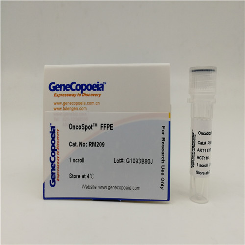 多合一miRNA qRT-PCR检测试剂盒2.0,All-in-One miRNA qRT-PCR Detection Kit 2.0