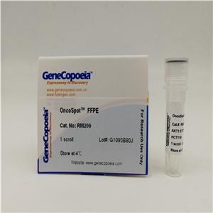 （PCR法） 支原体检测试剂盒