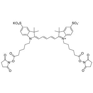 磺酸基Cy5 bis-活性酯；磺酸基Cy5 bis-琥珀酰亚胺酯