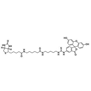 5-荧光素-生物素