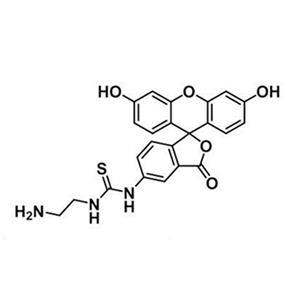 5-异硫氰酸荧光素乙二胺；氨乙基(硫脲基荧光素)