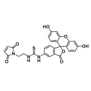 5-荧光素-马来酰亚胺