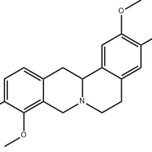 延胡索乙素,Rotundinum