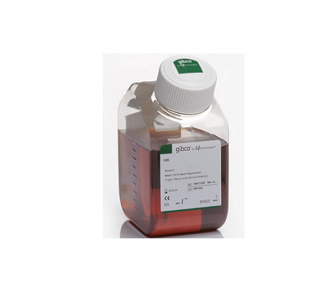 GIBCO 胎牛血清,GIBCO fetal bovine serum