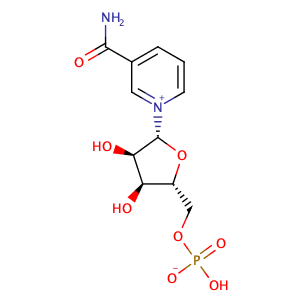 β-烟酰胺单核苷酸,BETA-NICOTINAMIDE MONONUCLEOTIDE