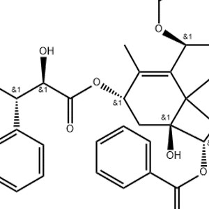 紫杉醇,Paclitaxel