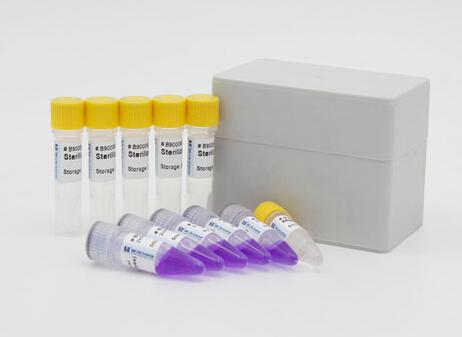 卡氏枝孢霉探针法荧光定量PCR试剂盒,Cladosporium carrionii