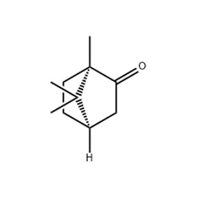 樟腦,D-CAMPHOR