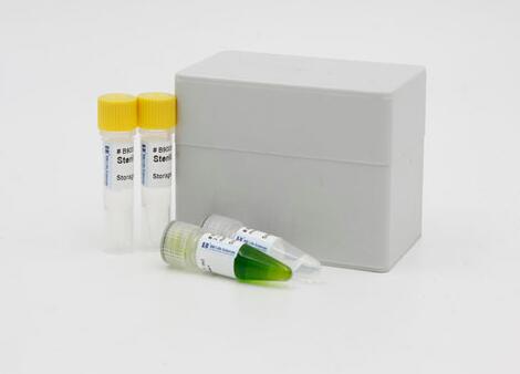 漏斗状带绦虫探针法荧光定量PCR试剂盒,Choanotaenia infundibulum