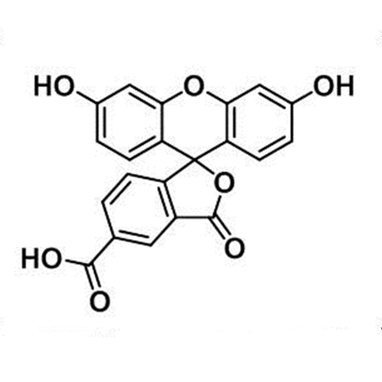 5-羧基熒光素,5-Carboxyfluorescein;5-FAM