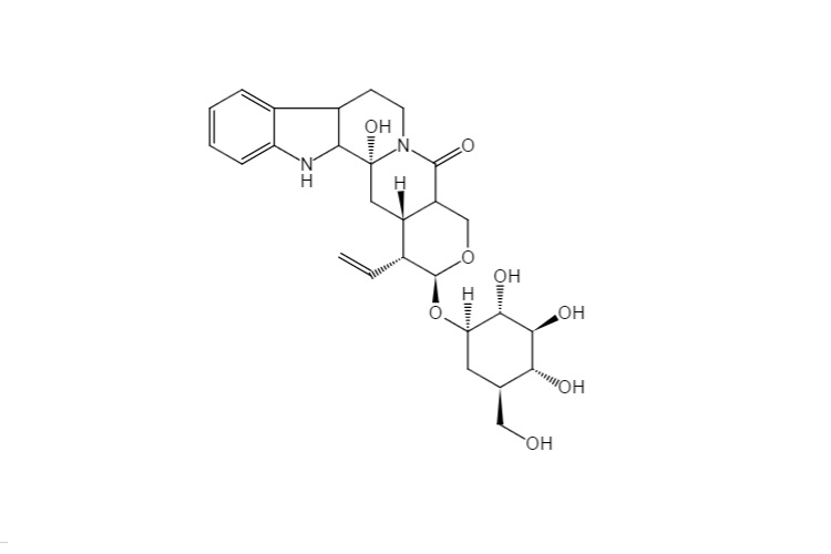 异长春花苷内酰胺,Strictosamide