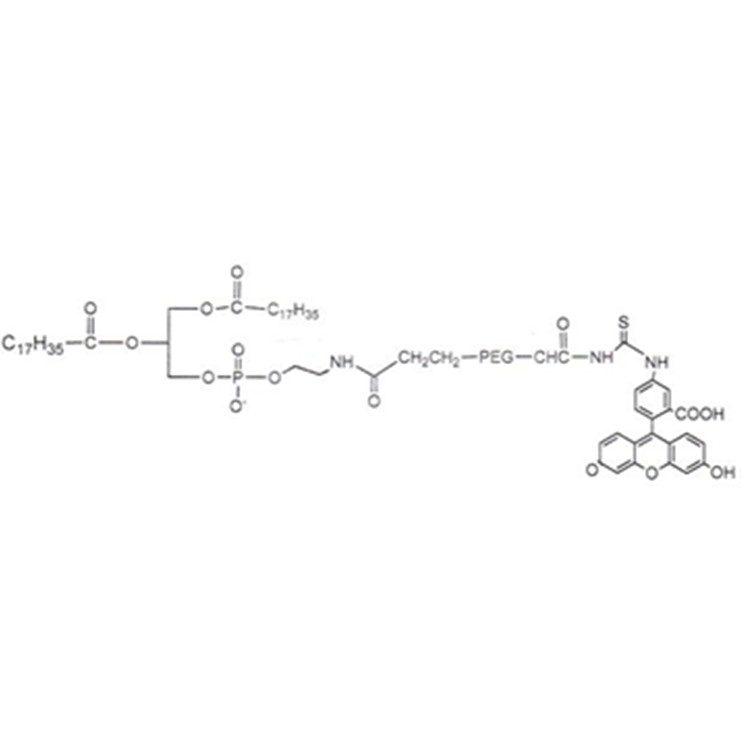 磷脂-聚乙二醇-荧光素,DSPE-PEG-FITC;DSPE-PEG-Fluorescein;FITC-PEG-DSPE