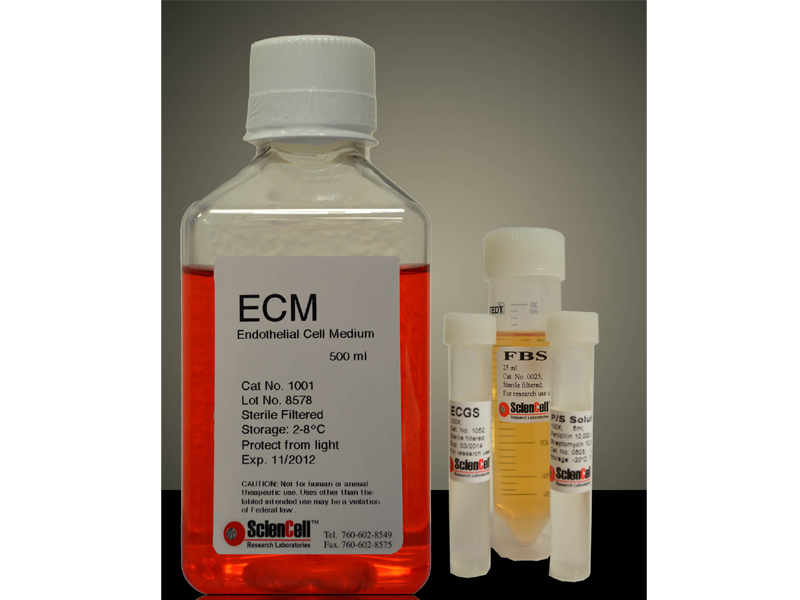 内皮细胞培养基 ECM Sciencell,Endothelial Cell Medium