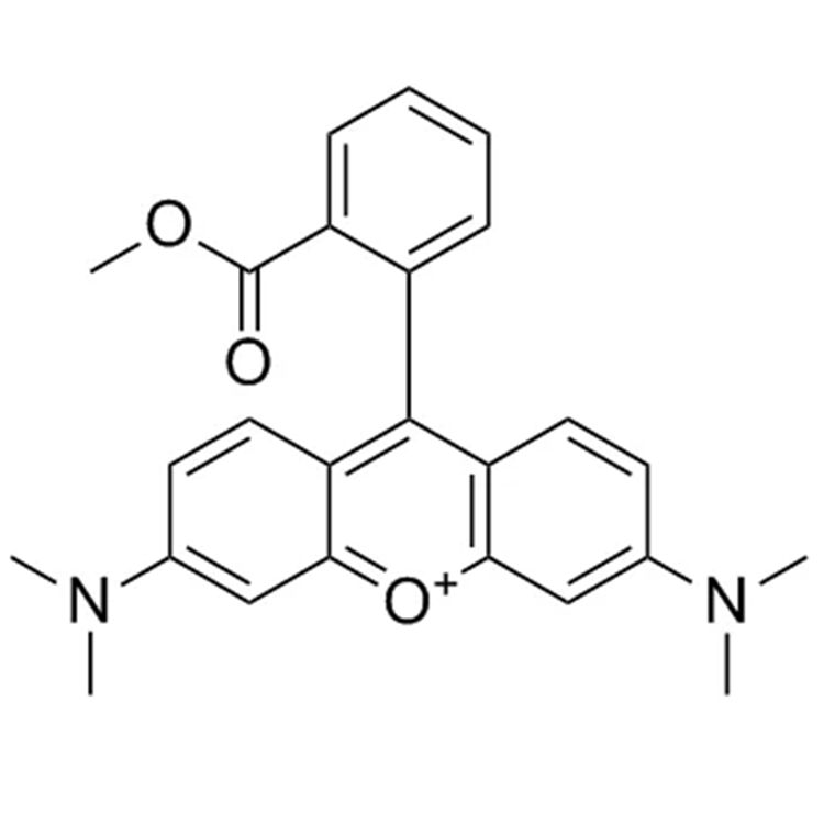 四甲基罗丹明甲酯,Tetramethylrhodamine;TMRM