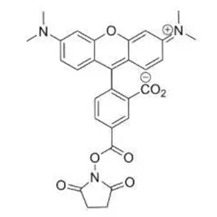 5-羧基-四甲基罗丹明-琥珀酰亚胺酯；5-羧基-四甲基罗丹明-活性酯,5-TAMRA-SE;5-TAMRA-NHS ester