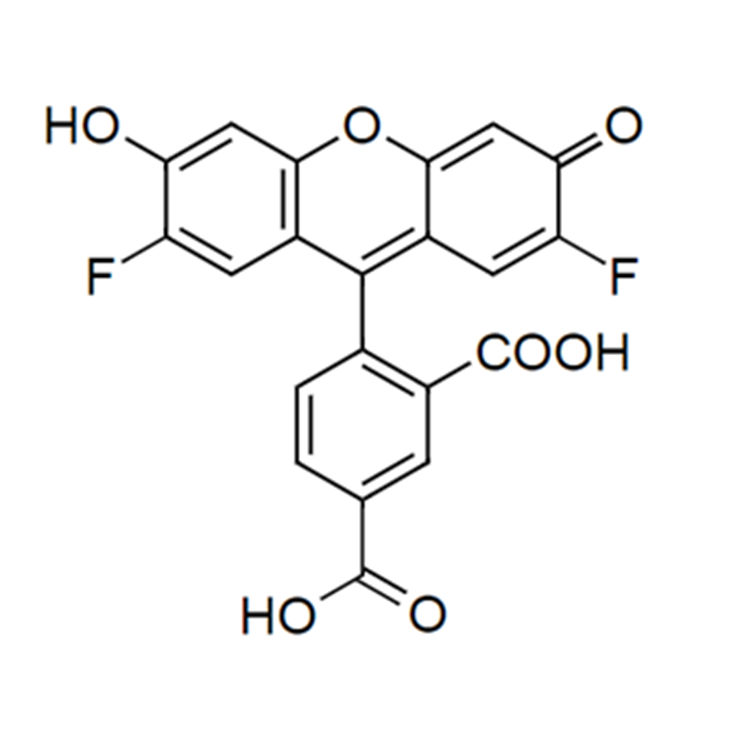 5-OG488羧基,5-OG488 acid;5-OG488 COOH