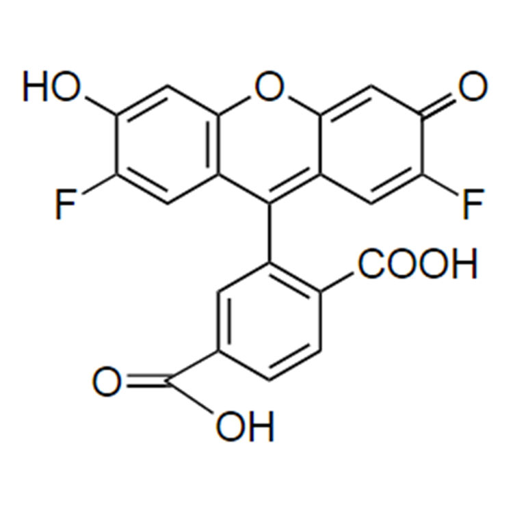 6-OG488羧基,6-OG488 acid;6-OG488 COOH