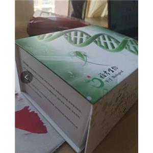 小鼠脑红蛋白(NGB)Elisa试剂盒