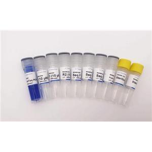 菊花病毒B型PCR试剂盒