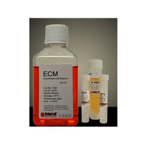 内皮细胞培养基 ECM Sciencell,Endothelial Cell Medium