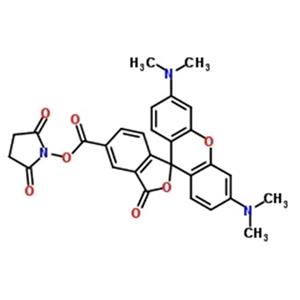 5(6)-羧基四甲基罗丹明琥珀酰亚胺酯