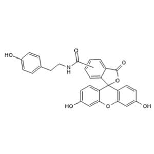 荧光素酪胺