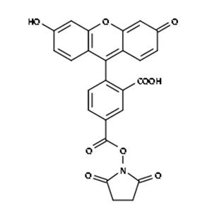 5-羧基荧光素琥珀酰亚胺酯；5-羧基荧光素活性酯,5-FAM SE;5-Carboxyfluorescein N-Succinimidyl Ester