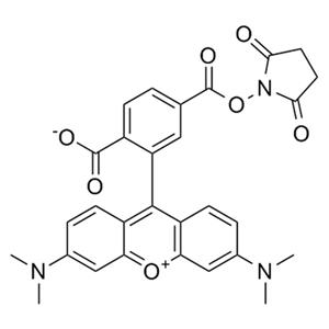6-羧基四甲基罗丹明琥珀酰亚胺酯；6-羧基四甲基罗丹明活性酯
