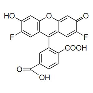 6-OG488羧基