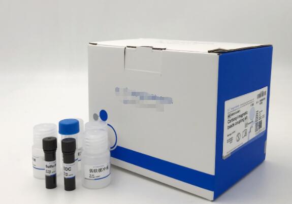 小鼠骨成型蛋白7(BMP-7)Elisa试剂盒,BMP-7